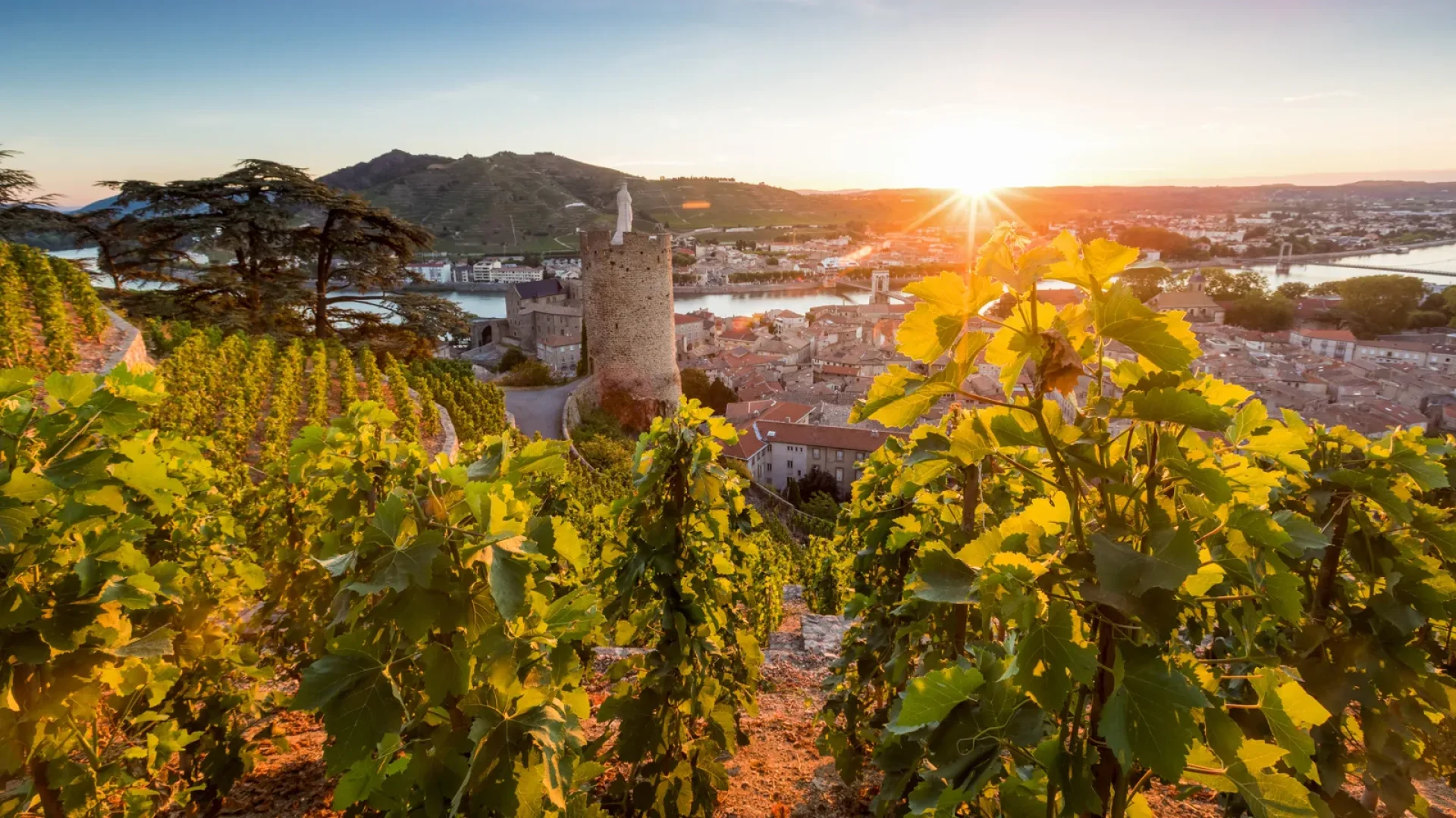 Coucher de soleil sur le vignoble au dessus de Tournon-sur-Rhône